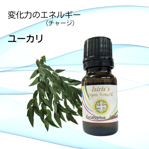 イシリス高周波エネルギーチャージアロマ ユーカリ　変化力　10ml