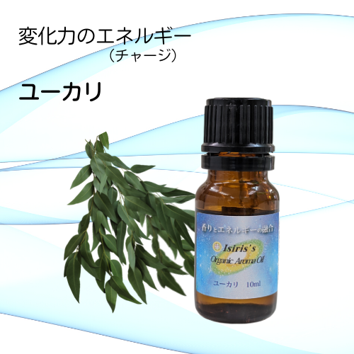 イシリス高周波エネルギーチャージアロマ ユーカリ　変化力　10ml